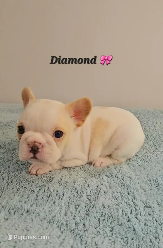 Diamond