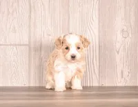 processed/82acb6b3-8ca3-4859-bae8-73171aaadc5b/listing/7cbabcf8-bb9d-4c6f-9e14-42dfd3b1e0cd/c1f9a8fb-2912-49ef-b076-609a6a4a1b60