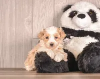 processed/82acb6b3-8ca3-4859-bae8-73171aaadc5b/listing/7cbabcf8-bb9d-4c6f-9e14-42dfd3b1e0cd/d24a4e2e-f2cc-4ab3-b7ef-213ee3f6c85d