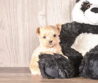 processed/82acb6b3-8ca3-4859-bae8-73171aaadc5b/listing/8377de15-d1e0-4ec1-b163-bc95e416b956/012a94b8-90be-446b-abad-49cbc20097ed