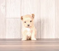 processed/82acb6b3-8ca3-4859-bae8-73171aaadc5b/listing/8377de15-d1e0-4ec1-b163-bc95e416b956/8b582bab-cf06-4020-95dc-d447adcd4f05