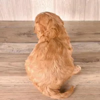 Fuzzy, a male Cavapoo for sale in Newberry, SC – Photo 3 of 3