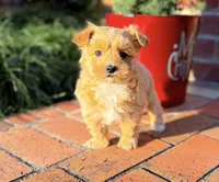 processed/82acb6b3-8ca3-4859-bae8-73171aaadc5b/listing/c3ac6c66-9e59-43e0-be8e-4edf72124016/9fb5396a-537a-41d9-a174-3291f2d152a2