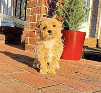 processed/82acb6b3-8ca3-4859-bae8-73171aaadc5b/listing/c3ac6c66-9e59-43e0-be8e-4edf72124016/fff9a48e-67a7-4147-9776-a0224a8bc567