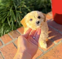 processed/82acb6b3-8ca3-4859-bae8-73171aaadc5b/listing/ce478309-fdd8-4088-bf4d-b28f6e24cdc8/0f94380b-51da-4572-9000-e0aa2de04419