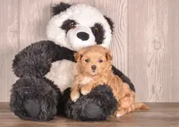 processed/82acb6b3-8ca3-4859-bae8-73171aaadc5b/listing/e10ac3bd-d195-4de7-abce-d86a23abe30b/944d4930-b5ba-4d20-b5bb-14427ef88707