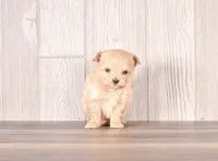 processed/82acb6b3-8ca3-4859-bae8-73171aaadc5b/listing/eb97d492-3947-4f8d-87be-463c8494fe68/92fd9028-fdd5-4841-8ecf-889601a70a4c