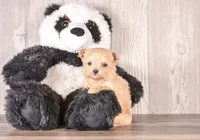 processed/82acb6b3-8ca3-4859-bae8-73171aaadc5b/listing/eb97d492-3947-4f8d-87be-463c8494fe68/a3ddf21c-20cf-4a22-82d0-4b6fa8ce685d