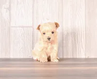 processed/82acb6b3-8ca3-4859-bae8-73171aaadc5b/listing/ef8d69a0-9b0b-4a24-9d0c-3522265d5a27/1b2ed94e-323d-4bbc-b9c4-02eb9ac1add5