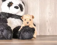 processed/82acb6b3-8ca3-4859-bae8-73171aaadc5b/listing/ef8d69a0-9b0b-4a24-9d0c-3522265d5a27/c3bd6640-79df-4ba4-b6e1-64704faaf03f