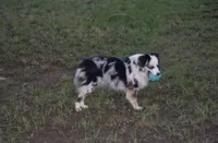 processed/82b003b3-7b94-411d-a7c7-c7ade2c9e61d/facility/500e3c79-e0b7-471b-b642-7fd257ead98c