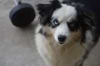 processed/82b003b3-7b94-411d-a7c7-c7ade2c9e61d/facility/9ca6c287-446e-429a-a0ee-e8e5d0ee7014