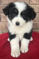 processed/82b003b3-7b94-411d-a7c7-c7ade2c9e61d/listing/9cdef5b8-1721-4068-87c5-9a632f830f95/136bbbe3-1dde-4d27-a762-2db62980dce7