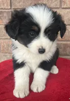 processed/82b003b3-7b94-411d-a7c7-c7ade2c9e61d/listing/9cdef5b8-1721-4068-87c5-9a632f830f95/53620fb4-f36c-4e1b-aea5-023e4a02df1f