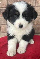 processed/82b003b3-7b94-411d-a7c7-c7ade2c9e61d/listing/9cdef5b8-1721-4068-87c5-9a632f830f95/9f50a90e-5423-4797-9a9e-a898ad3708aa