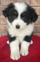 processed/82b003b3-7b94-411d-a7c7-c7ade2c9e61d/listing/9cdef5b8-1721-4068-87c5-9a632f830f95/ddefe1b3-bee6-4952-9e0d-5b81e5b2aec4