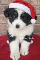 processed/82b003b3-7b94-411d-a7c7-c7ade2c9e61d/listing/9cdef5b8-1721-4068-87c5-9a632f830f95/fc293ef1-4d6b-4a3f-99b6-31c4a6738107