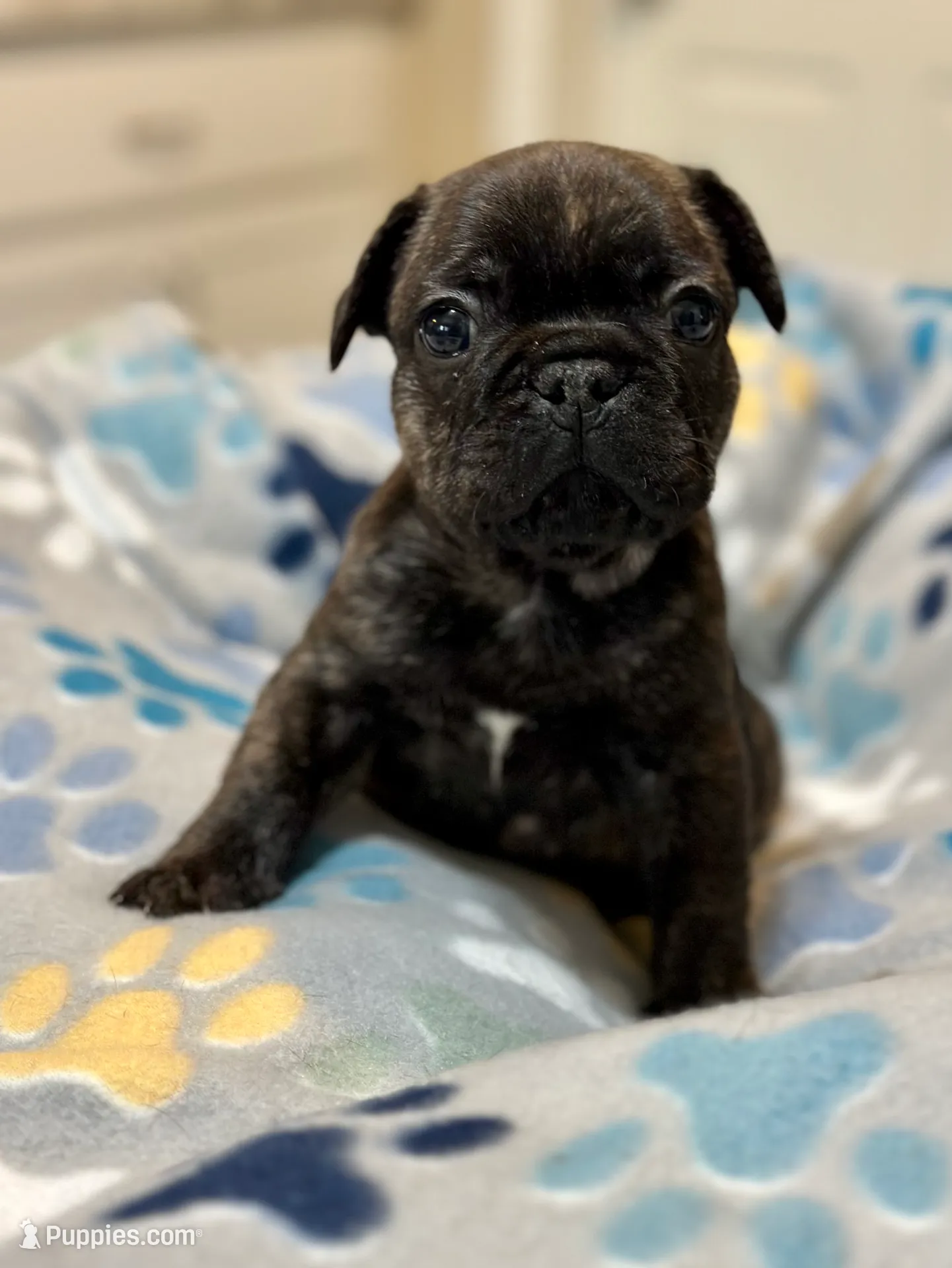 processed/82b029f6-3bef-4479-8eec-071f1df0aaf9/listing/fe6138a2-f77b-4877-86de-6c0c5b683f48/240f29c6-3e0f-4f5c-bf5b-cd522591f0e8