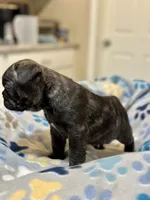 processed/82b029f6-3bef-4479-8eec-071f1df0aaf9/listing/fe6138a2-f77b-4877-86de-6c0c5b683f48/40da4a20-4ef4-4304-a636-4d85af2830ae