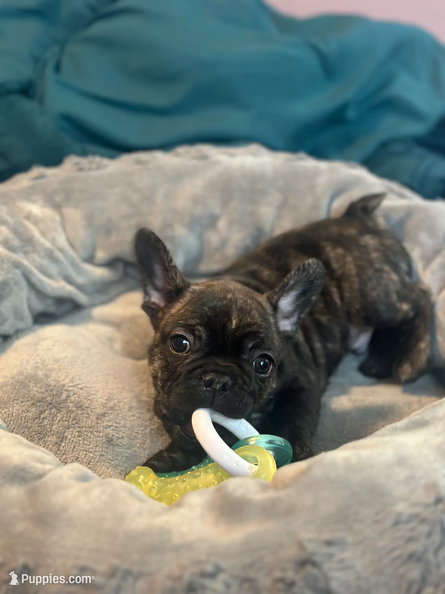 processed/82b029f6-3bef-4479-8eec-071f1df0aaf9/listing/fe6138a2-f77b-4877-86de-6c0c5b683f48/5883061a-8bd0-4682-9eb6-1d4cc8fd3e28