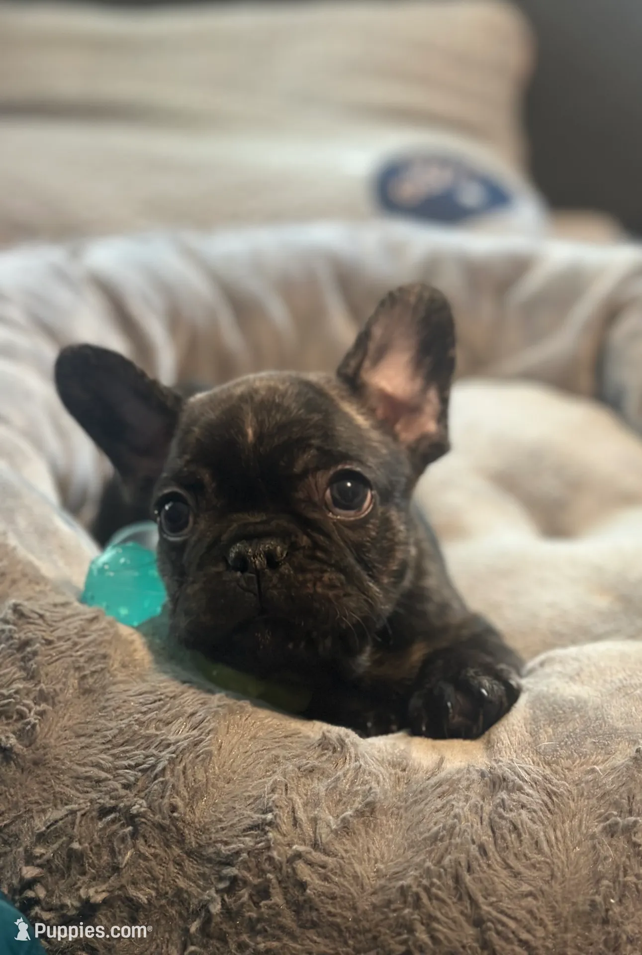 processed/82b029f6-3bef-4479-8eec-071f1df0aaf9/listing/fe6138a2-f77b-4877-86de-6c0c5b683f48/789aee17-636d-4c85-adaf-06471c272a4a