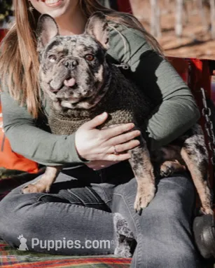 processed/82b029f6-3bef-4479-8eec-071f1df0aaf9/listing/fe6138a2-f77b-4877-86de-6c0c5b683f48/cf1b759d-0734-4754-8260-e52957477433