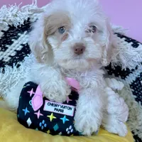 processed/82b194ea-f9a5-4670-b8d4-3111cb25e38c/facility/1ffc7cec-6665-42ef-b44b-46b67612b051