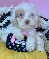 processed/82b194ea-f9a5-4670-b8d4-3111cb25e38c/facility/1ffc7cec-6665-42ef-b44b-46b67612b051