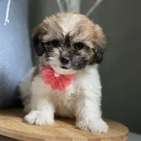 processed/82b194ea-f9a5-4670-b8d4-3111cb25e38c/facility/256a929e-c095-45a6-81a5-079c7eb8d3d0