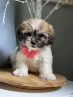 processed/82b194ea-f9a5-4670-b8d4-3111cb25e38c/facility/256a929e-c095-45a6-81a5-079c7eb8d3d0