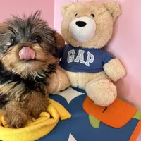 processed/82b194ea-f9a5-4670-b8d4-3111cb25e38c/facility/46305195-2521-4080-a8db-0321b36ee51d