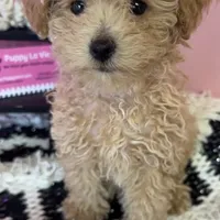 processed/82b194ea-f9a5-4670-b8d4-3111cb25e38c/facility/4f1b6cd2-0089-4fa2-b2a2-7733584e27bb