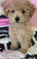 processed/82b194ea-f9a5-4670-b8d4-3111cb25e38c/facility/4f1b6cd2-0089-4fa2-b2a2-7733584e27bb