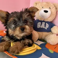 processed/82b194ea-f9a5-4670-b8d4-3111cb25e38c/facility/530fb285-c9f9-4468-a847-0ce89477508c