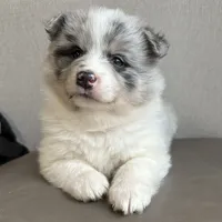 processed/82b194ea-f9a5-4670-b8d4-3111cb25e38c/facility/66201b30-a5d7-4683-b0c4-7d802e9e2a5e