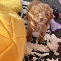 processed/82b194ea-f9a5-4670-b8d4-3111cb25e38c/facility/81cdcbbf-2fc2-4a12-890f-81d03b5103a3