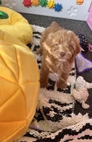 processed/82b194ea-f9a5-4670-b8d4-3111cb25e38c/facility/81cdcbbf-2fc2-4a12-890f-81d03b5103a3