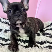 processed/82b194ea-f9a5-4670-b8d4-3111cb25e38c/facility/90bc276d-5944-4f11-9c96-f6081b375d43