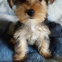 processed/82b194ea-f9a5-4670-b8d4-3111cb25e38c/facility/d7bc0a33-3a0a-499a-a87f-4a1c97412312