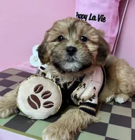 processed/82b194ea-f9a5-4670-b8d4-3111cb25e38c/listing/96b8462d-c050-4f0a-b1f0-c852719f45dd/16d520bf-fc67-45f2-98c7-af0827ecab2e