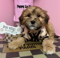 processed/82b194ea-f9a5-4670-b8d4-3111cb25e38c/listing/96b8462d-c050-4f0a-b1f0-c852719f45dd/5b9a6f96-d5cd-45c7-9119-4983ee3ad40f