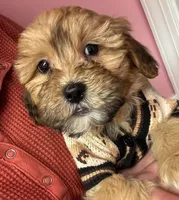 processed/82b194ea-f9a5-4670-b8d4-3111cb25e38c/listing/96b8462d-c050-4f0a-b1f0-c852719f45dd/837c7037-edc5-403c-8004-f7d548cef850