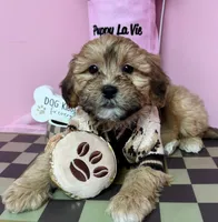 processed/82b194ea-f9a5-4670-b8d4-3111cb25e38c/listing/96b8462d-c050-4f0a-b1f0-c852719f45dd/badf5d5b-ce10-4fc2-9c5b-782a16da3b66