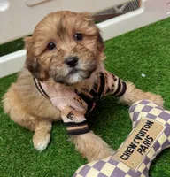 processed/82b194ea-f9a5-4670-b8d4-3111cb25e38c/listing/96b8462d-c050-4f0a-b1f0-c852719f45dd/f9670e02-b310-488b-8aed-b24759e6169b