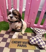 processed/82b194ea-f9a5-4670-b8d4-3111cb25e38c/listing/994d9b49-2b19-41f6-b77d-0131cc4fdbd1/433e0a80-7063-42ef-a21a-986ecbb14980