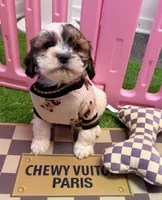 processed/82b194ea-f9a5-4670-b8d4-3111cb25e38c/listing/994d9b49-2b19-41f6-b77d-0131cc4fdbd1/5e8d1459-fd88-42f5-a11b-ed1049a89aff