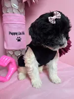 processed/82b194ea-f9a5-4670-b8d4-3111cb25e38c/listing/eabe1cee-4f64-4d52-915d-0f77158dab48/21588d8a-9a71-423f-b2a3-0723a8d92281