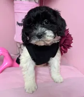 processed/82b194ea-f9a5-4670-b8d4-3111cb25e38c/listing/eabe1cee-4f64-4d52-915d-0f77158dab48/2deadb50-e731-4724-b403-badf65cd4bf6