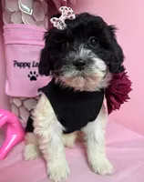 processed/82b194ea-f9a5-4670-b8d4-3111cb25e38c/listing/eabe1cee-4f64-4d52-915d-0f77158dab48/b4eee23a-e1b2-43c0-aaf2-c31dafd738df