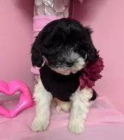 processed/82b194ea-f9a5-4670-b8d4-3111cb25e38c/listing/eabe1cee-4f64-4d52-915d-0f77158dab48/c09d6705-cfcd-4fc4-b2cd-7f548a93ea82